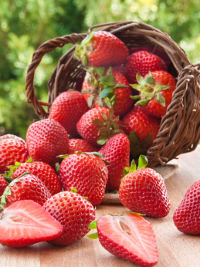स्ट्रॉबेरी – Strawberry Facts In Hindi