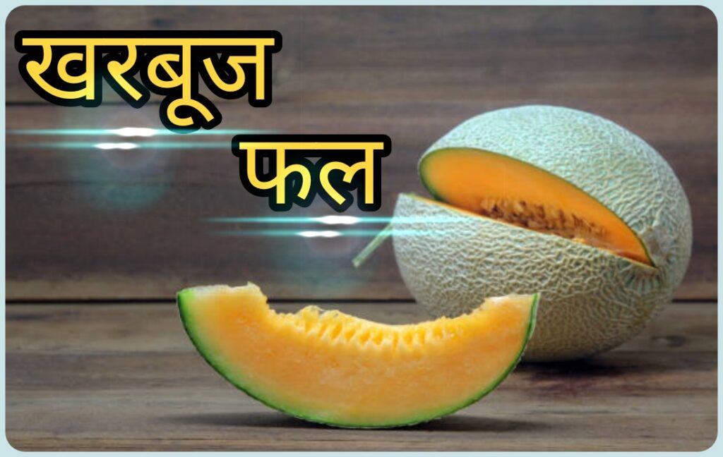 Melon Fruit In Hindi