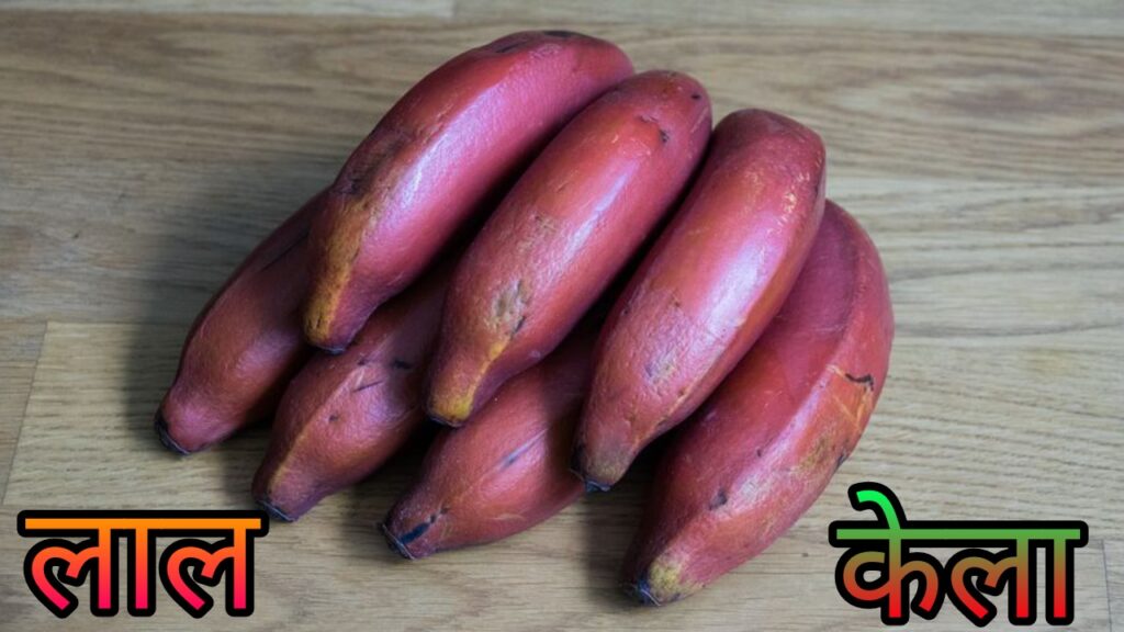 Red Banana In Hindi