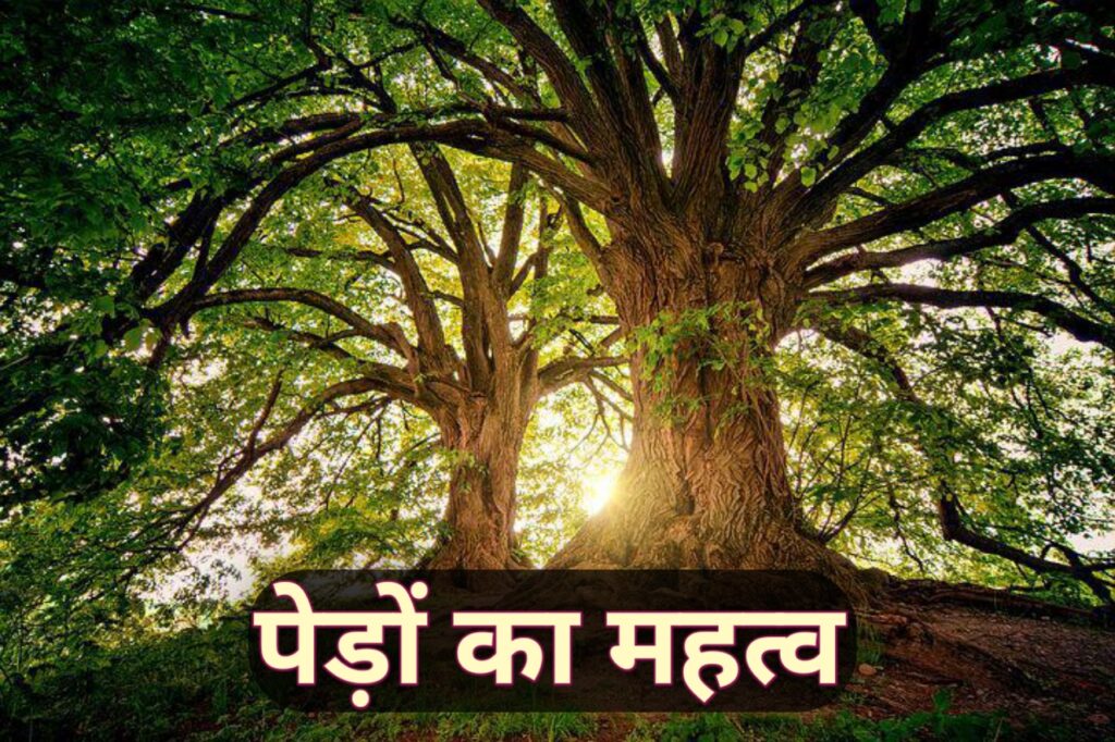 Trees Importance In Hindi